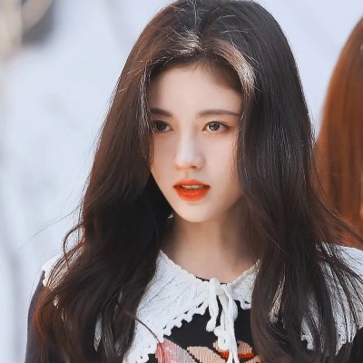 菜鸟先生