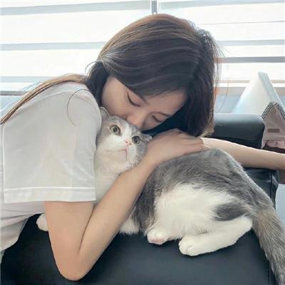 雪地黄金犬2