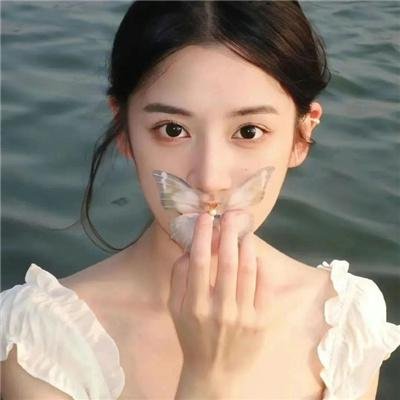 巨浪白鲨鱼